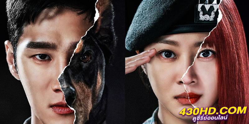 คู่หูอัยการทหาร โดเบอร์แมน Military Prosecutor Doberman คู่หูอัยการทหาร โดเบอร์แมน Military Prosecutor Doberman