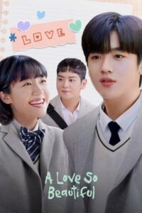 ดูซีรี่ย์ รักนี้ยังงดงาม A Love So Beautiful (2017) 24 ตอนจบ ซับไทย
