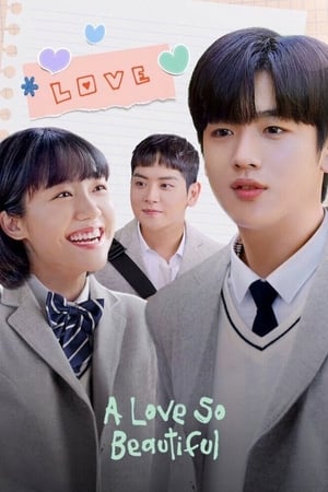 ดูซีรี่ย์ รักนี้ยังงดงาม A Love So Beautiful (2017) 24 ตอนจบ ซับไทย