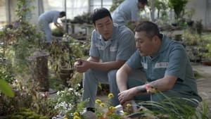 Prison Playbook Season 1 EP 11