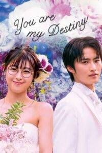 ดูซีรี่ย์ พรหมลิขิตรักไม่รู้จบ You Are My Destiny (2020) พากย์ไทย
