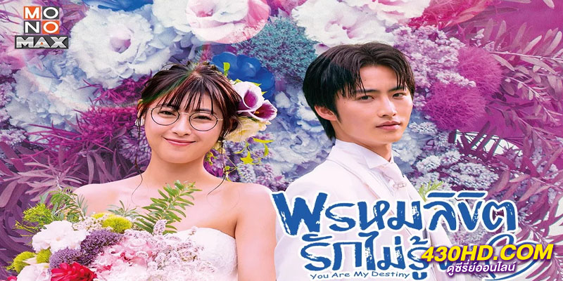 พรหมลิขิตรักไม่รู้จบ You Are My Destiny พรหมลิขิตรักไม่รู้จบ You Are My Destiny