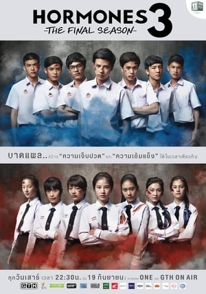 ดูซีรี่ย์ Hormones ฮอร์โมนส์ วัยว้าวุ่น The Series ซีซั่น1-ซีซั่น3 (ครบจบ) Season 3