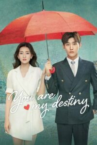 ดูซีรี่ย์ You Are My Destiny พรหมลิขิตรักไม่รู้จบ (2020) พากย์ไทย