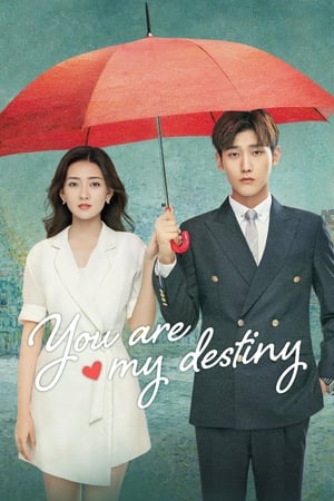 ดูซีรี่ย์ You Are My Destiny พรหมลิขิตรักไม่รู้จบ (2020) พากย์ไทย
