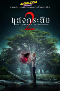 ดูหนัง แสงกระสือ 2 (2023) เต็มเรื่อง-HD