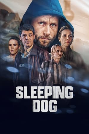 ดูซีรี่ย์ ย้อนปมคดีเลือด Sleeping Dog (2023) ซับไทย EP.1-6 ตอนจบ