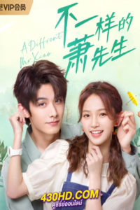 ซีรี่ย์จีน A Different Mr. Xiao หมอแปลก เซียวเซียนเซิง (2023) ซับไทย-พากย์ไทย