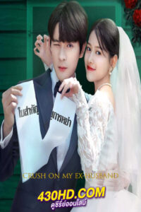 ซีรี่ย์จีน ตามหัวใจให้รักหวนคืน (2023) Crush on My Ex-husband ซับไทย