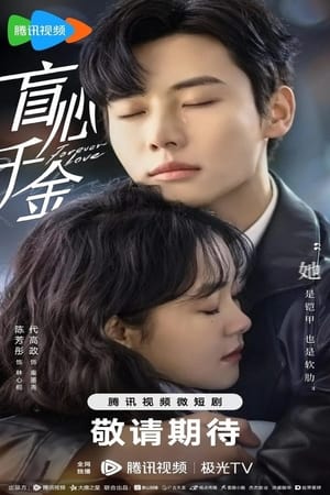 ดูซีรี่ย์จีน รักวุ่นวายของนายบอดี้การ์ด Forever Love (2023) Season 1