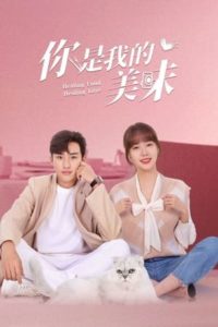 ดูซีรี่ย์ ปรุงเลิฟให้เธอรัก Healing Food Healing Love EP.1-23 จบ (2022) พากย์ไทย