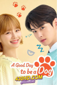 ดูซีรี่ย์ A Good Day To Be A Dog (2023) ซับไทย 14 ตอนจบ