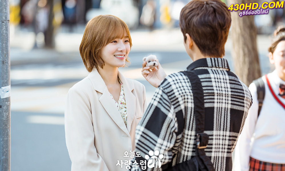 ดูซีรี่ย์ A Good Day To Be A Dog (2023) ซับไทย 14 ตอนจบ 