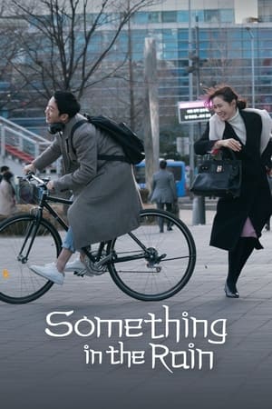 ดูซีรี่ย์ Something in the Rain (2018) สื่อในสายฝน (พากย์ไทย) EP.1-16 ตอนจบ Season 1