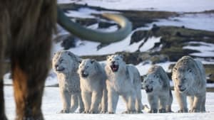 Life on Our Planet Season 1 EP 8