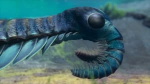 Life on Our Planet Season 1 EP 2