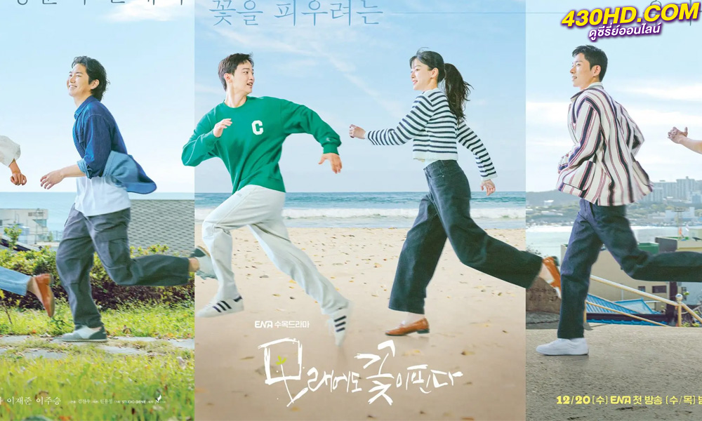 ดูซีรี่ย์ Like Flowers in Sand (2023) ดอกไม้สังเวียนทราย ซับไทย-พากย์ไทย (12 ตอนจบ)