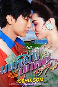 ดูซีรี่ย์ไทย มนต์รักลูกทุ่ง2567 (2024) พากย์ไทย EP.1-12 จบ (ย้อนหลัง)