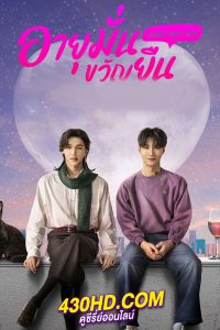 ดูซีรี่ย์ไทย 1000 Years Old อายุมั่นขวัญยืน (2024) EP.1-12 ครบทุกตอน