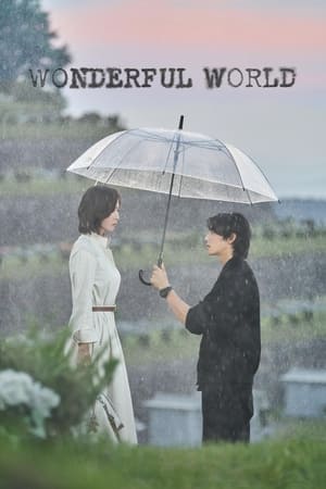 ดูซีรี่ย์ Wonderful World (2024) วันเดอร์ฟูล เวิลด์ EP.1-14 (จบ) ซับไทย-พากย์ไทย Season 1