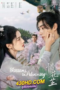 ดูซีรี่ย์จีน ฮวาจื่อบุปผากลางภัย Blossoms in Adversity (2024) ซับไทย-พากย์ไทย 40 ตอนจบ
