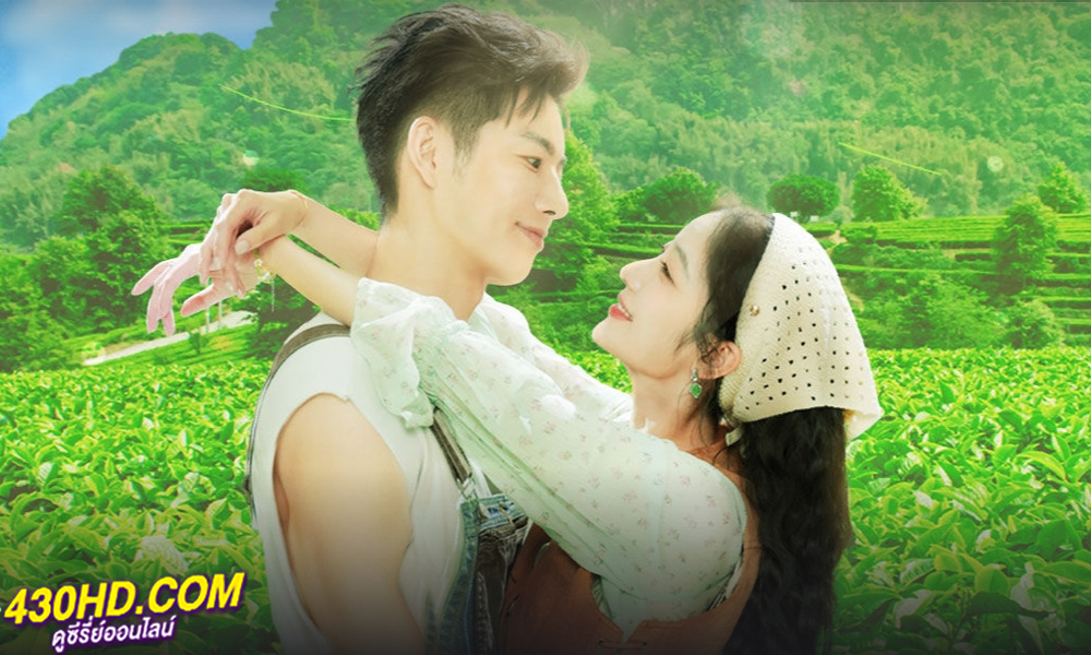 ดูซีรี่ย์ Love in the Tea Garden รักเกิดในสวนชา (2024) ซับไทย EP.1-24 (จบ)