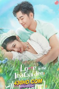 ดูซีรี่ย์ Love in the Tea Garden รักเกิดในสวนชา (2024) ซับไทย EP.1-24 (จบ)