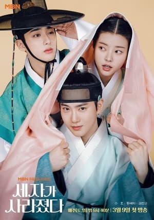 ดูซีรี่ย์ Missing Crown Prince (2024) แผนลักป่วนบัลลังก์ พากย์ไทย EP.1-20 (จบ) Season 1