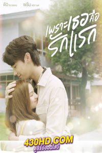 ดูซีรี่ย์ A Love So Beautiful (2024) เพราะเธอคือรักแรก เวอร์ชั่นไทย (ย้อนหลัง)
