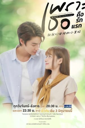 ดูซีรี่ย์ A Love So Beautiful (2024) เพราะเธอคือรักแรก เวอร์ชั่นไทย (ย้อนหลัง) Season 1