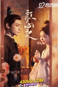 ดูซีรี่ย์จีน Follow Your Heart (2024) คะนึงรักหัวใจเพรียกหา พากย์ไทย EP.1-40 (จบ)