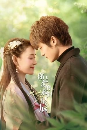 ดูซีรี่ย์ My Eternal Star (2023) ดวงดาวรักนิรันดร์ EP.1-22 พากย์ไทย Season 1