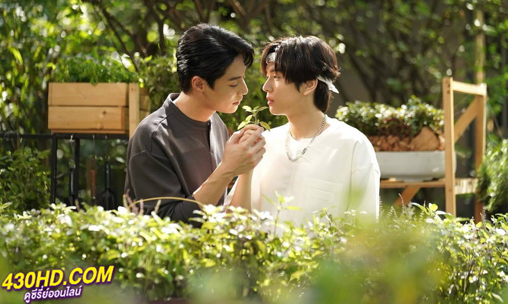 ซีรี่ย์ไทย รักนี้ไม่มีถั่วฝักยาว This Love Doesn’t Have Long Beans (2024)