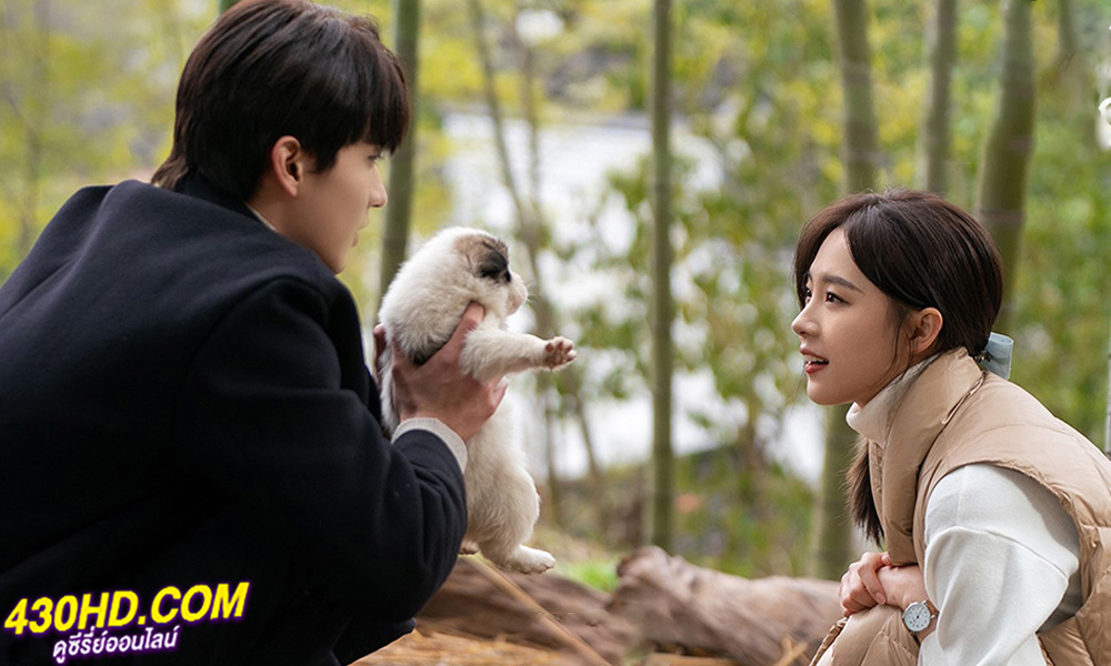 ดูซีรี่ย์ Falling Before Fireworks ดอกไม้ไฟแห่งรัก (2023) พากย์ไทย EP.1-23 (จบ)