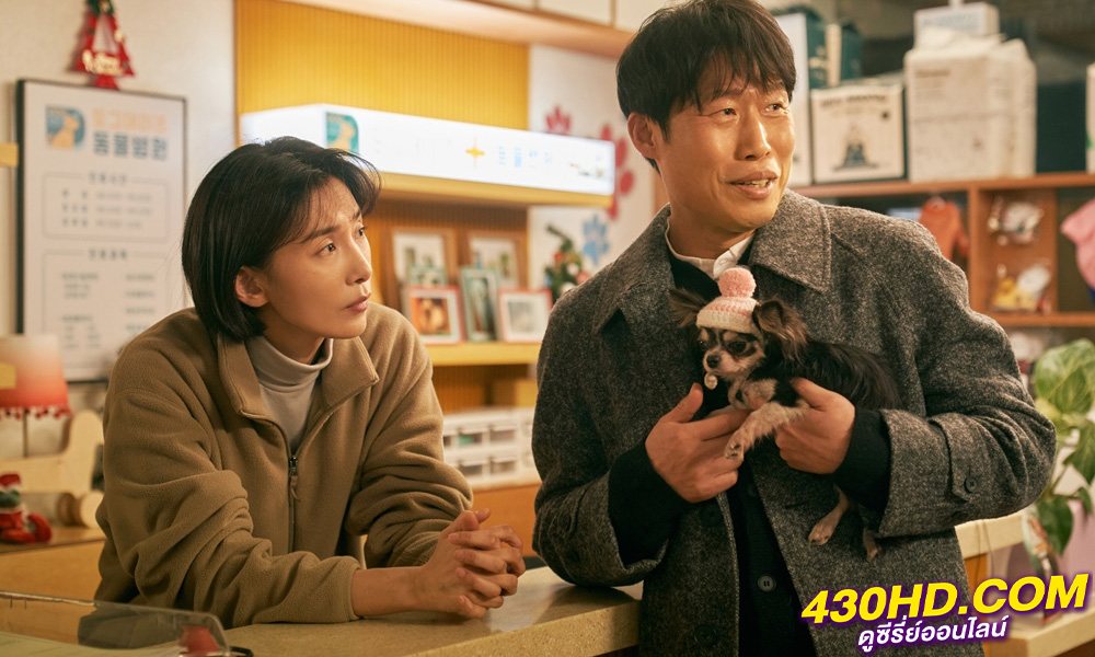 ดูหนัง ด็อกเดย์ สี่ขาว้าวุ่น Dog Days (2024) พากย์ไทย เต็มเรื่อง