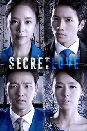 ดูซีรี่ย์ Secret Love (พากย์ไทย) ซ่อนรัก ซ่อนแค้น EP.1-16 (จบ) Season 1