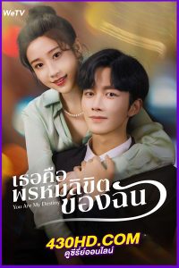 ดูซีรี่ย์จีน You Are My Destiny (2024) เธอคือพรหมลิขิตของฉัน EP.1-24 ซับไทย