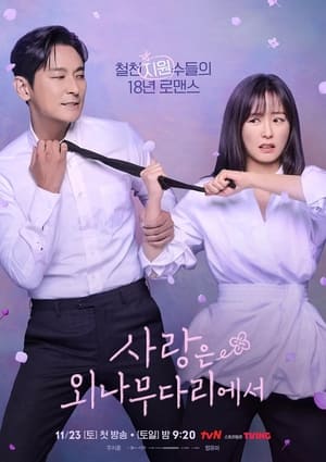 ดูซีรี่ย์ Love Your Enemy ซับไทย (2024) EP.1-12 (จบ) Season 1