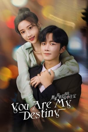 ดูซีรี่ย์จีน You Are My Destiny (2024) เธอคือพรหมลิขิตของฉัน EP.1-24 ซับไทย Season 1