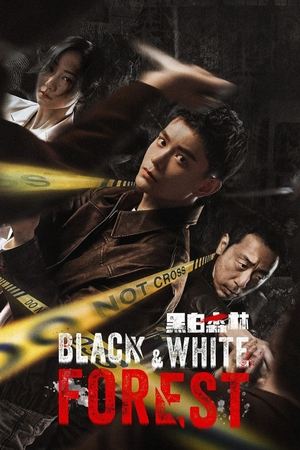 ดูซีรี่ย์จีน ปมปริศนาป่าซ่อนเงื่อน Black and White Forest (2024) EP.1-28 (จบ) ซับไทย Season 1