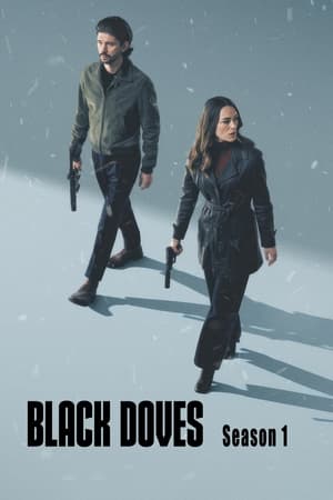 ดูซีรี่ย์ พิราบเงา Black Doves พากย์ไทย (2024) EP.1-6 จบ Season 1