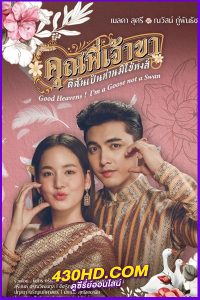 ละครไทย คุณพี่เจ้าขาดิฉันเป็นห่านมิใช่หงส์ (2025) ย้อนหลัง EP.1-23 Netflix