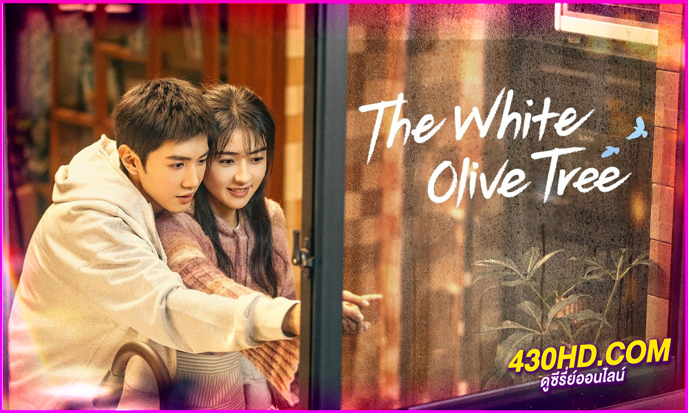 ดูซีรี่ย์จีน ปลูกรักพักใจ ใต้ต้นมะกอกขาว พากย์ไทย (2025) The White Olive Tree EP.1-38 (จบ)