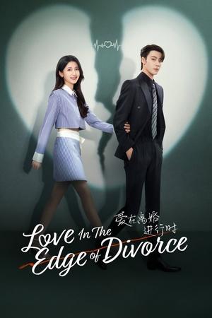 ดูซีรี่ย์จีน เมื่อหัวใจห่างไกลรัก Love in the Edge of Divorce (2025) ซับไทย EP.1-31 (จบ) Season 1