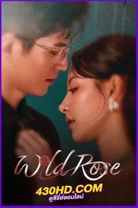ดูซีรี่ย์ Wild Rose ทวงแค้นได้รัก (2025) ซับไทย EP.1-24 (จบ)
