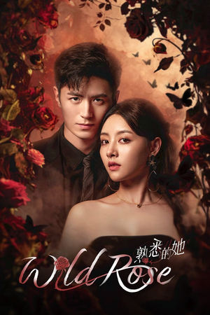 ดูซีรี่ย์ Wild Rose ทวงแค้นได้รัก (2025) ซับไทย EP.1-24 (จบ) Season 1