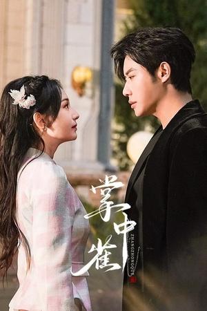 ดูซีรี่ย์ Sadistic Love เงามืดใต้แสงจันทร์ขาว (2025) ซับไทย EP.1-24 (จบ) Season 1