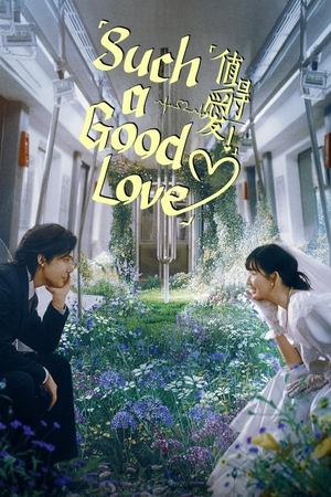 ดูซีรี่ย์ Such A Good Love คุ้มที่จะรักเธอ (2025) ซับไทย EP.1-26 (จบ) Season 1