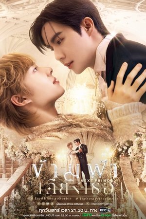 ดูซีรี่ย์ ข้ามฟ้าเคียงเธอ The Next Prince (2025) ย้อนหลัง EP.1-14 จบ (UNCUT) Season 1